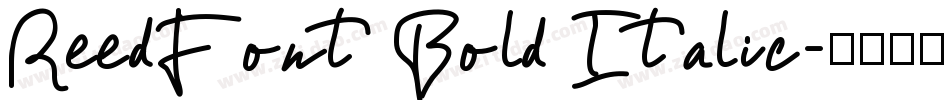ReedFont Bold Italic字体转换